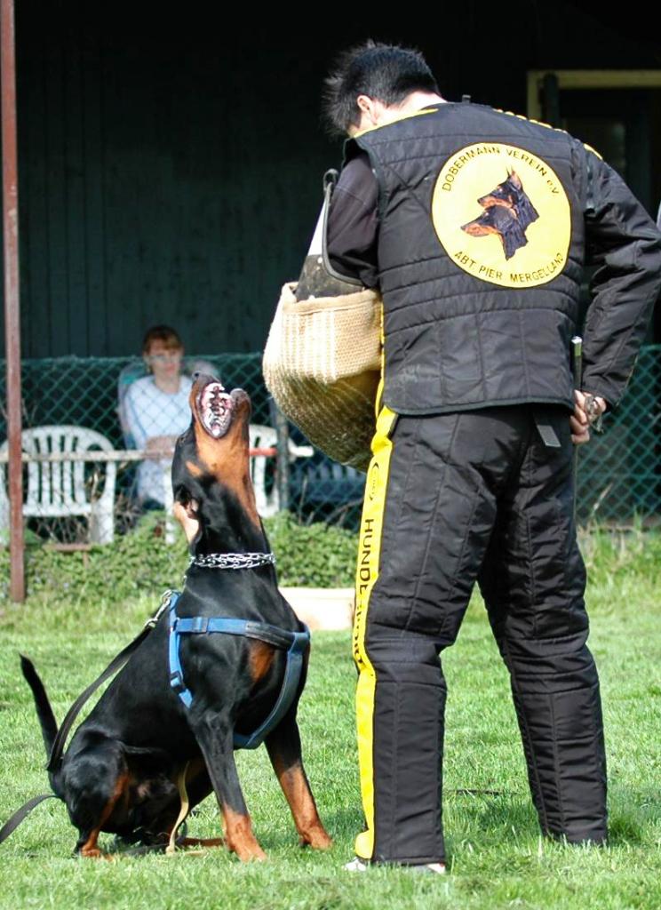 Bosz Antonio bewaking