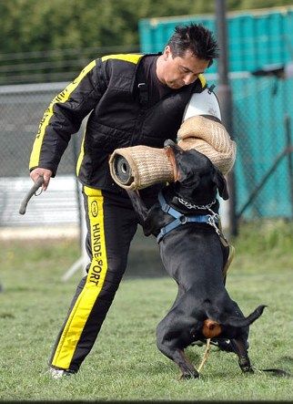 Bosz Antonio overval