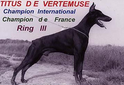 Titus de Vertimuse