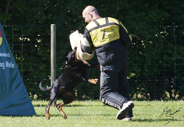 Ankrung Melle 2010 Bosz ZVA