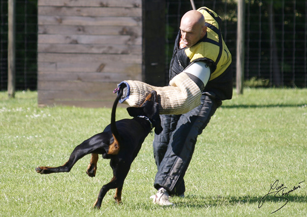 Ankrung Melle 2010 Bosz ZVA