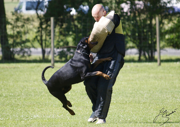 Ankrung Melle 2010 Bosz ZVA